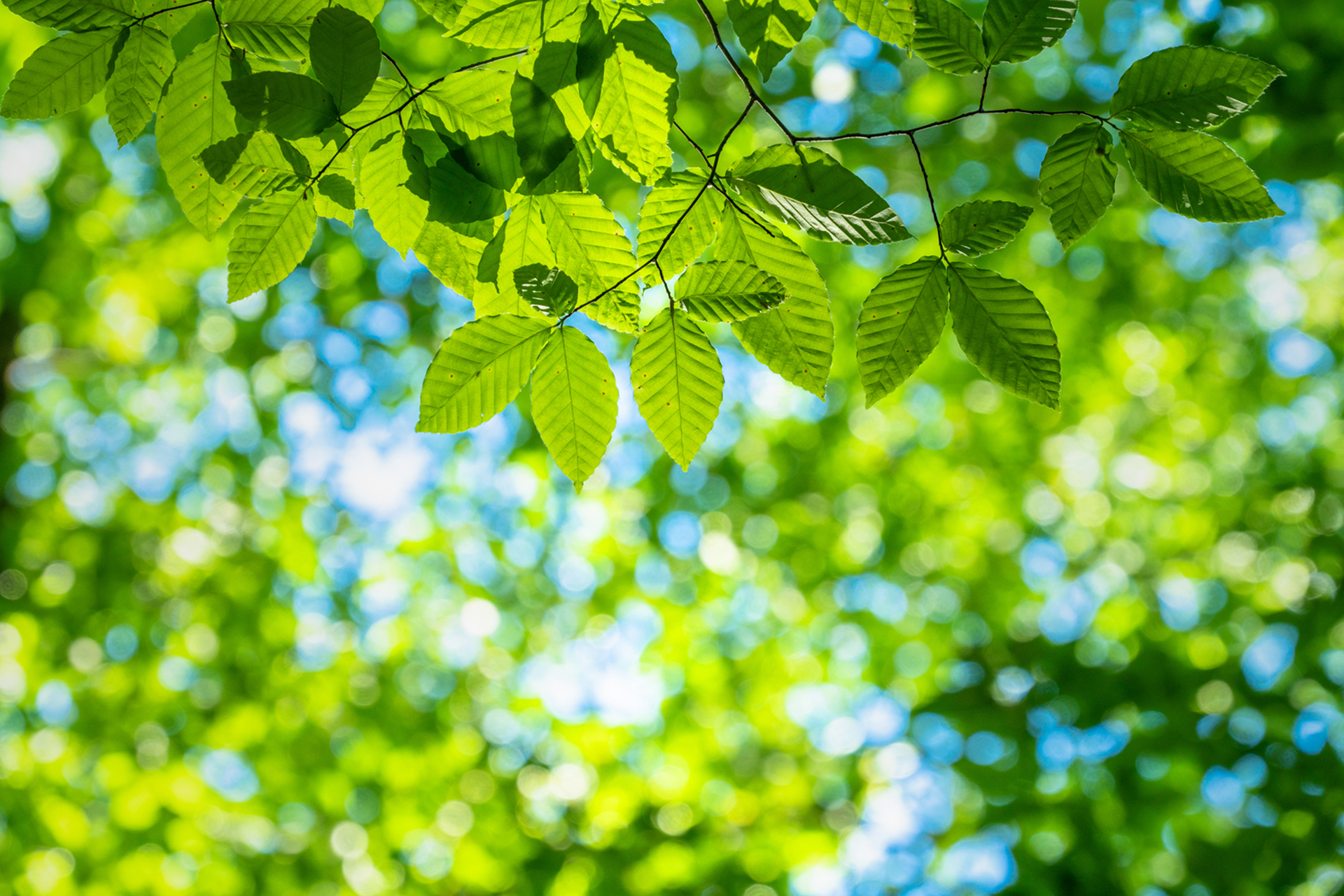 メインビジュアル