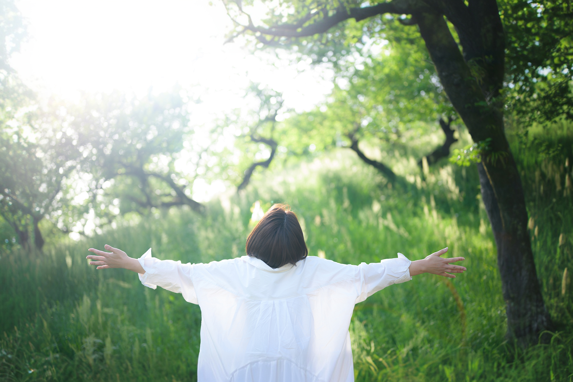 メインビジュアル