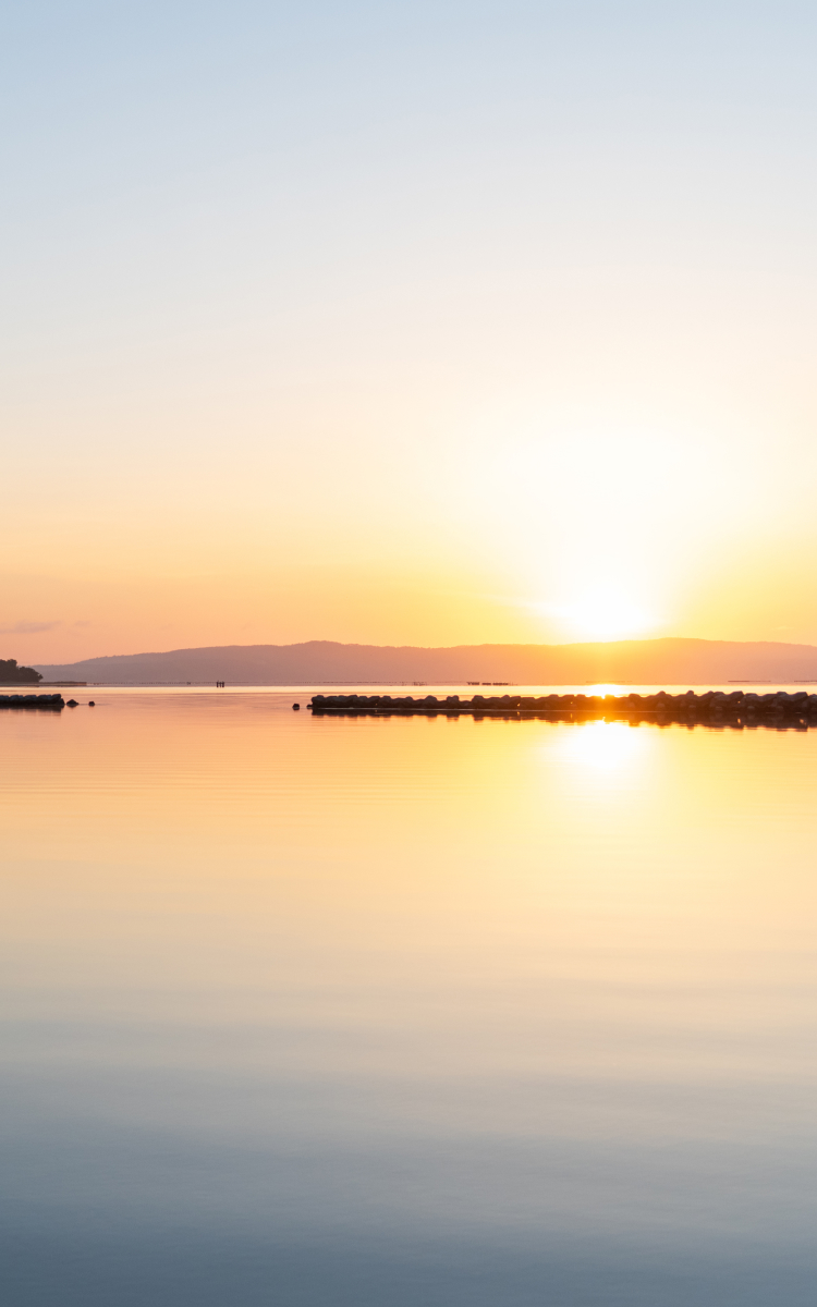 メインビジュアル